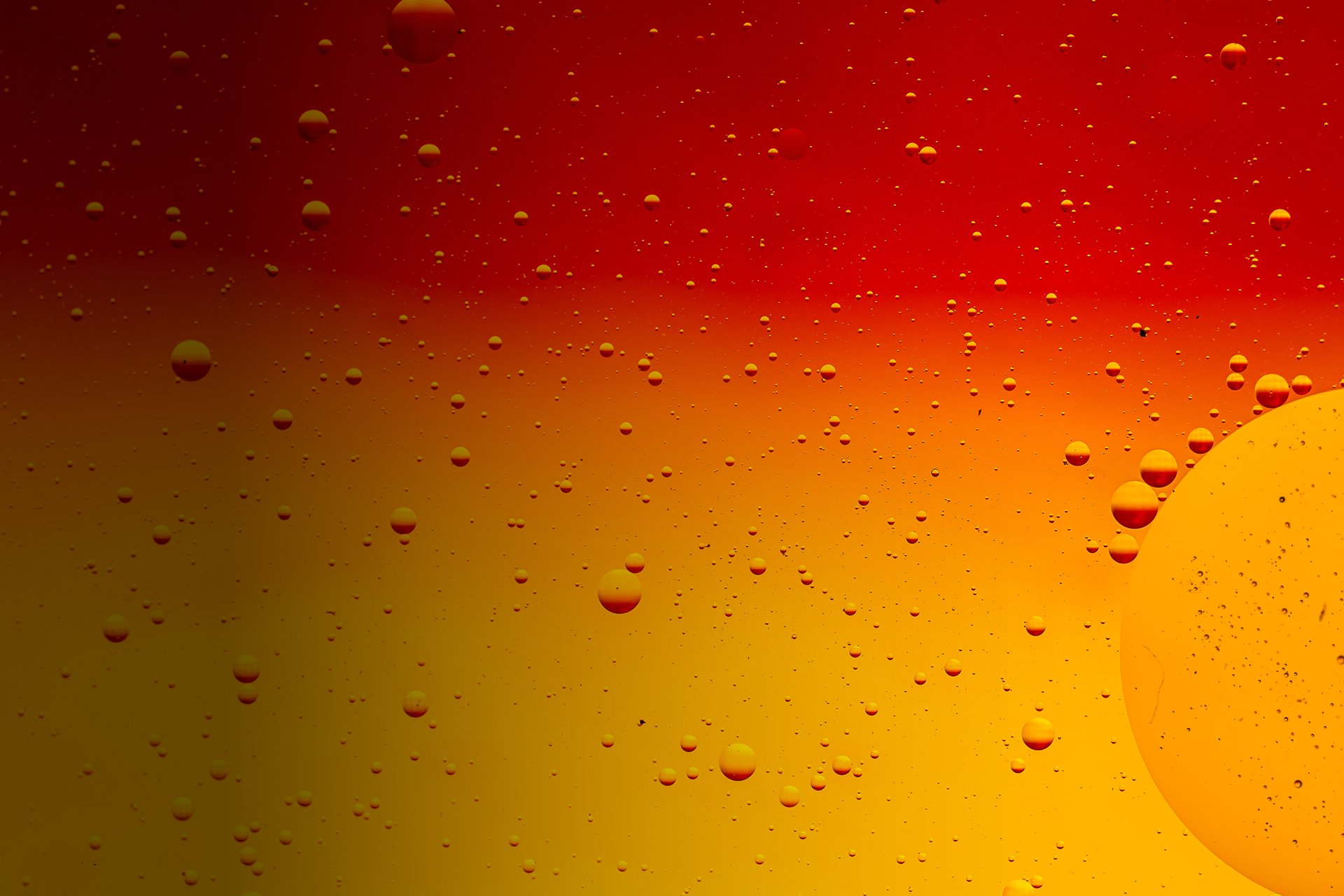 Boiler Repair & Maintenance Sherman TX